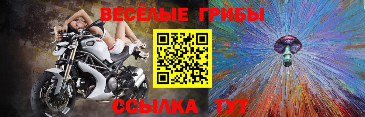 Знаменск  Псилоцибиновые грибы мухоморы  даркнет сайт  Вход с VPN  Галлюциногенные грибы Psilocybine cubensis 