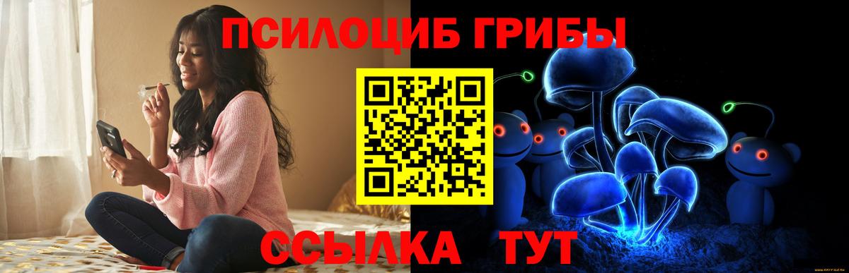Псилоцибиновые грибы GOLDEN TEACHER Знаменск